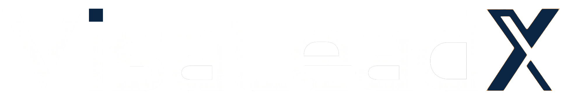 VisaLeadX Logo