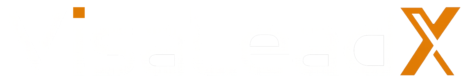 VisaLeadX Logo